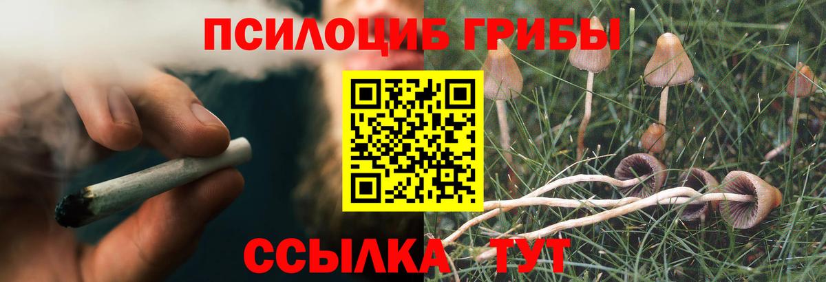 Псилоцибиновые грибы MAGIC MUSHROOMS  Галлюциногенные грибы прущие грибы  Советск  даркнет сайт  Вход с VPN 